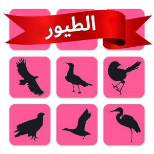 لعبة ذاكرة الأطفال - الطيور