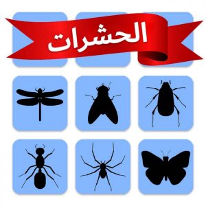لعبة ذاكرة الأطفال - الحشرات